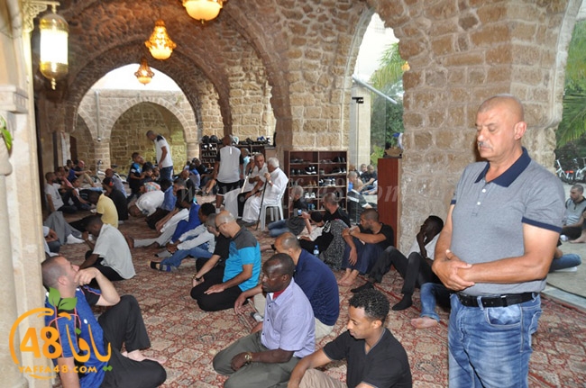 mahmoudiaya 3eda (6).JPG